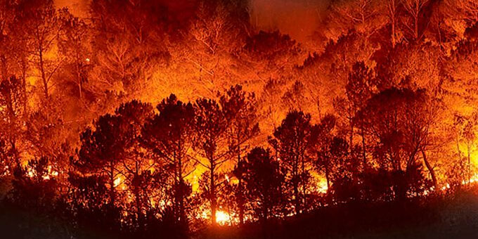 Incendios forestales, resultado de la negligencia presupuestal