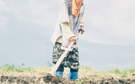 Thai farmer is hoeing his agricultural land